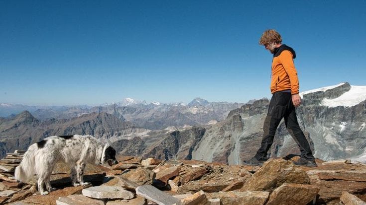 Paolo Cognetti in “Fiore mio”, regista tra le montagne. “Senza l’uomo la natura si salverà”