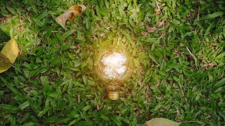 Ecco le 11 proposte per favorire la transizione ecologica