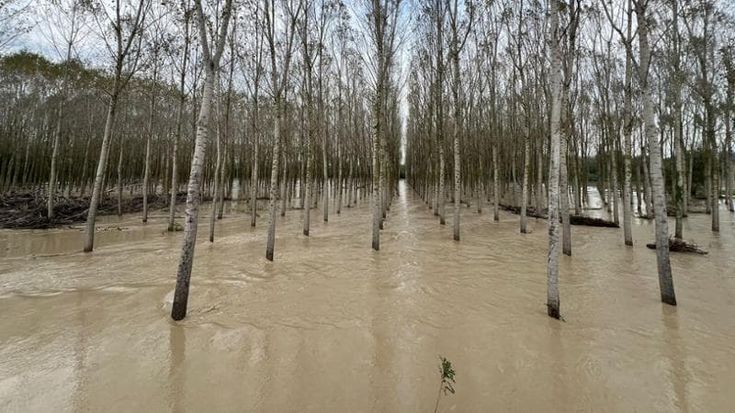 Maltempo, nel pisano e nel livornese, tracimati torrenti: 15 persone tratte in salvo dai vigili del fuoco. Giani: “A Riparbella in 3 ore piovuto più della media di un mese. Ora priorità ai piccoli fiumi”. In alcune case acqua fino a 1,7 metri di altezza. Allagamenti anche a Cecina