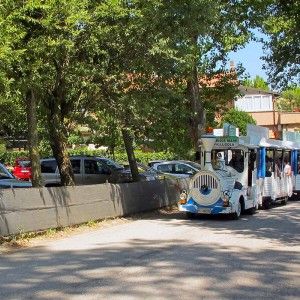 Riccione, investito dal trenino. E' grave