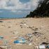 Scoperta un’alternativa alla plastica, studiando la canapa