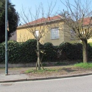 Si apre una voragine in strada Cavoretto resta senza acqua e bus