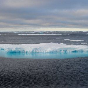 Addio gelo al Polo nord: temperature record
