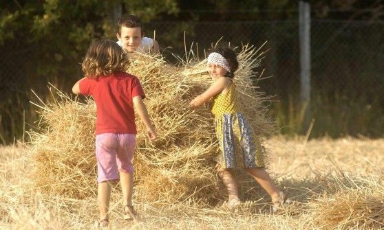 Un weekend con l'oro dei campi, si fa festa al grano