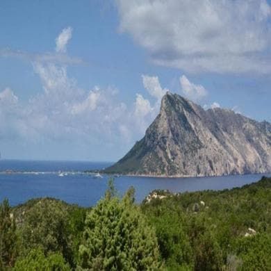 Tavolara, i comitati e il passo indietro dei costruttori: “Addio beach club, vince il territorio”