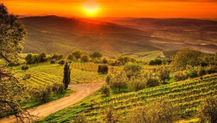 Chianti Classico, per i 100 anni del Consorzio ecco i consigli sulle ultime annate