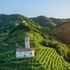 L'Italia brinda alle colline del prosecco, ora patrimonio dell'Umanità
