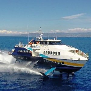 Liberty Lines, Marnavi avvia la due diligence
