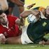 Mondiali di rugby, batticuore Sudafrica: supera il Galles e raggiunge l'Inghilterra in finale