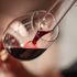 Viaggio nelle 10 cantine che hanno fatto la storia del vino italiano (e non solo)