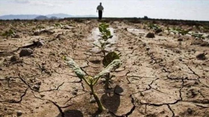 Alimentazione, degrado del suolo: 1,7 miliardi di persone hanno una resa dei raccolti in forte calo