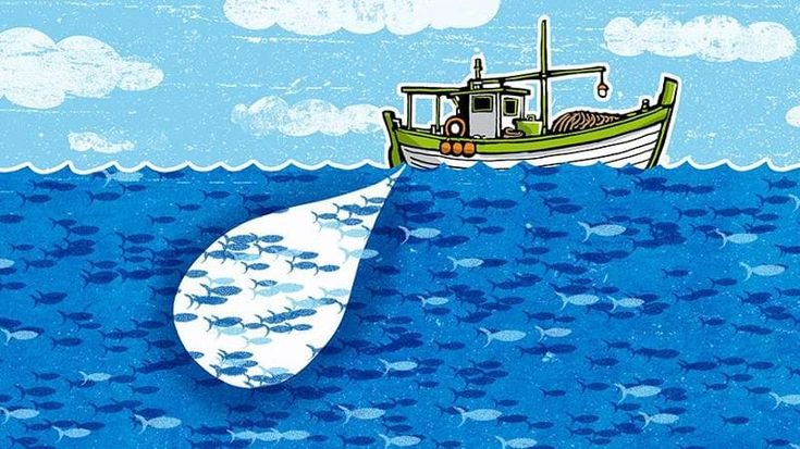 Pescatori e studenti alleati per il mare