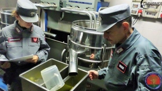 Olio di soia spacciato per extravergine, 24 indagati a Foggia: "Venduto a noti ristoranti"