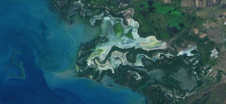 Le mangrovie viste dai satelliti