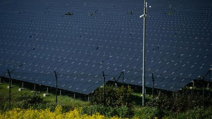 Investimenti solo se redditizi: così Cattaneo dà la scossa all’Enel
