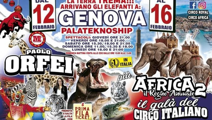 La giunta Salis nega le autorizzazioni al circo Orfei: “A Genova stop agli spettacoli con animali”