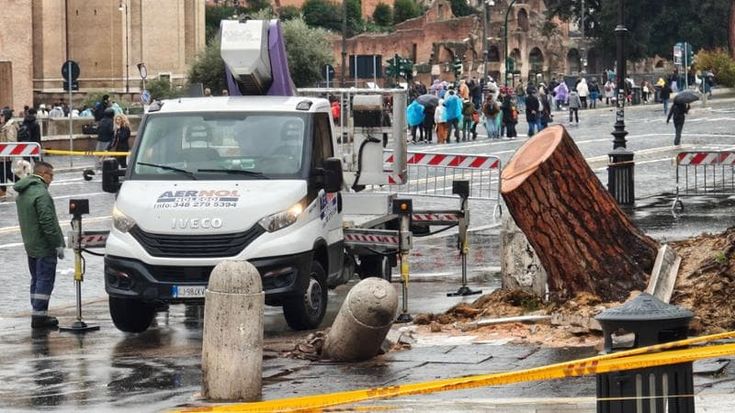 Alberi a rischio crollo, dopo gli schianti ai Fori via ai controlli in centro