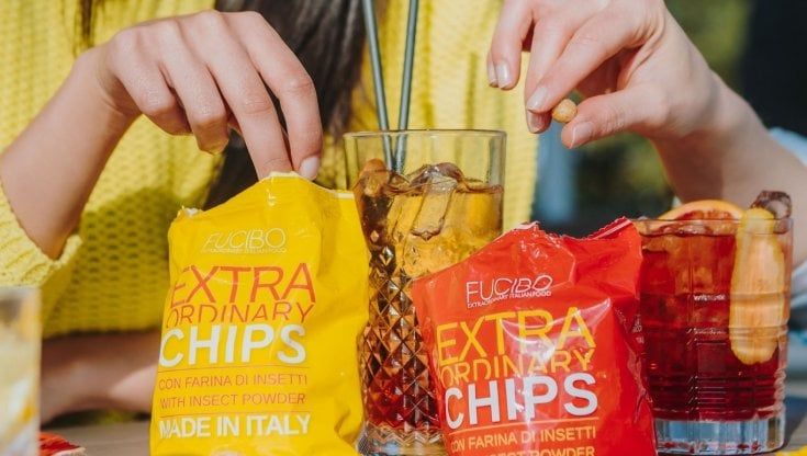 Le patatine con la farina di insetti arrivano nei supermercati lombardi: "Così cambiamo le nostre abitudini alimentari"