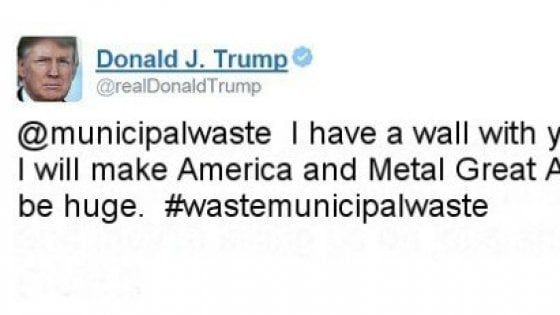 "Usa, piantare 10 miliardi di alberi per battere le politiche di Trump"