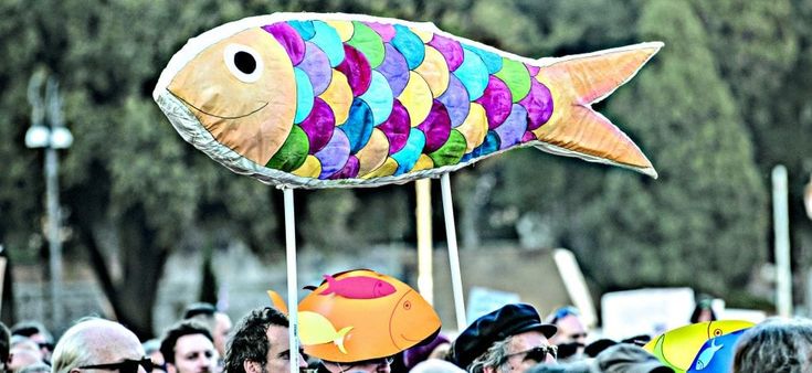 Il pesce palla