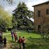 Il silenzio degli alberi in cammino
