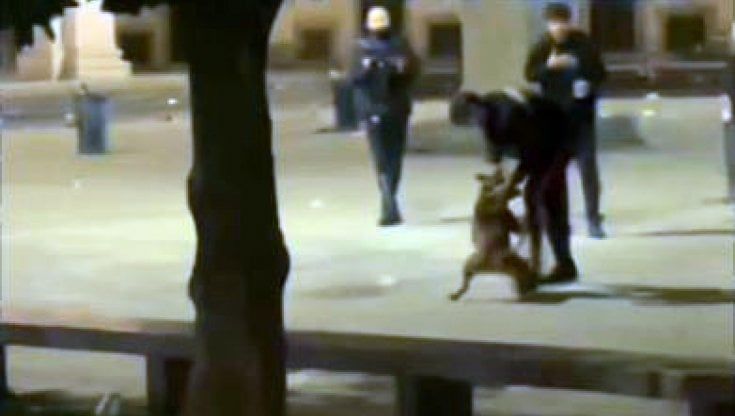 Pitbull, carabinieri e movida: cosa è successo nella notte tra alcol e violenza alle Colonne di San Lorenzo