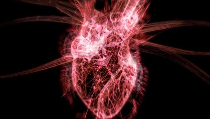 Colesterolo, c’è un test che dice chi è più a rischio di infarto e ictus
