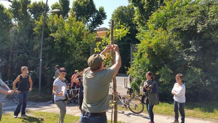Viaggio nei quartieri. I volontari "abusivi" di parco Commodilla