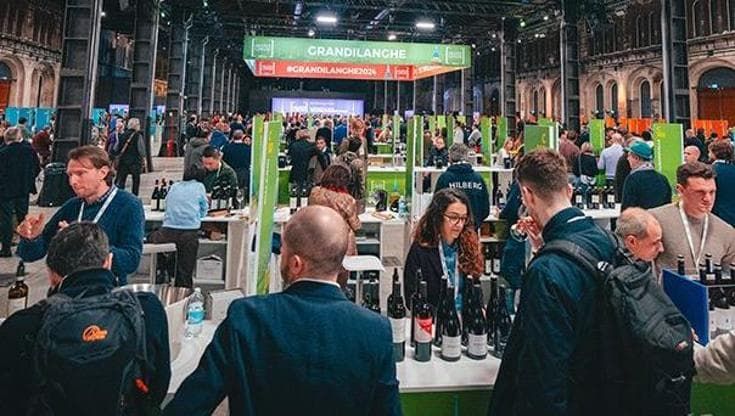 Grandi Langhe, il Piemonte da bere in 3mila etichette: “Vino in crisi? Il nostro funziona”