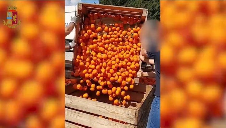 Settanta chili di droga nascosta tra le arance spagnole, maxi sequestro della stradale a Susa