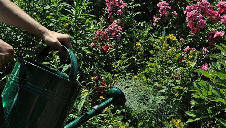 “Non sprecate acqua”, appello ai sindaci toscani: l’Autorità idrica in allarme per i consumi