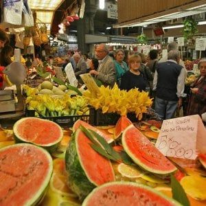 Angurie dall'estero spacciate per pugliesi, crolla il prezzo dei prodotti locali: l'allarme di Coldiretti