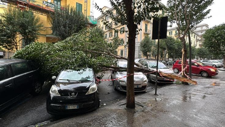 Maltempo su Napoli, vigili del fuoco al lavoro: alberi abbattuti, pali divelti, pezzi di cornicioni