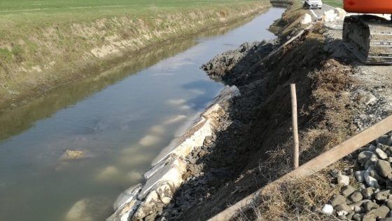 Nutrie, l'allarme dei Consorzi di Bonifica: costi esorbitanti e alti rischi, vanno contenute