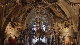 'Wunderkammer - Le stanze della meraviglia' clip: il gusto del macabro