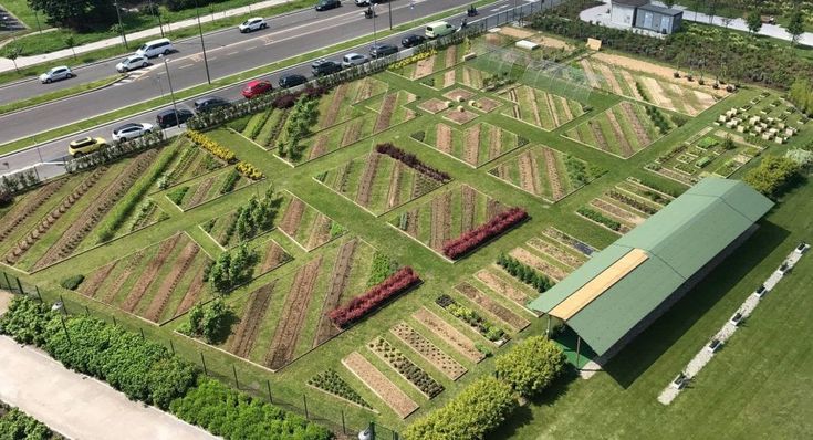 A Citylife aprono gli Orti Fioriti:  visite guidate alla scoperta di fiori e ortaggi