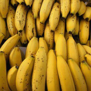 Livorno, 63 chili di cocaina nascosti tra le banane della Colombia