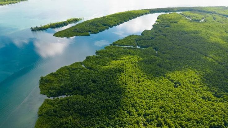 I rischi della perdita di biodiversità: il doppio filo che lega industria e ambiente