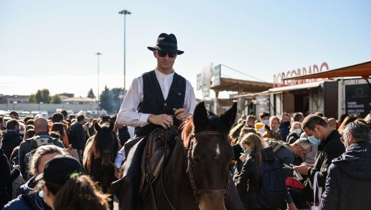 Verona città equestre: a Fieracavalli numeri record per dimenticare la pandemia