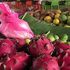 Nicaragua: tra aragoste, vulcani e poesia