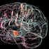 Micro-antenne nel cervello contro Parkinson ed epilessia
