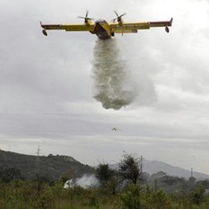 Gargano, a fuoco la discarica abbandonata: distrutti due ettari di macchia mediterranea