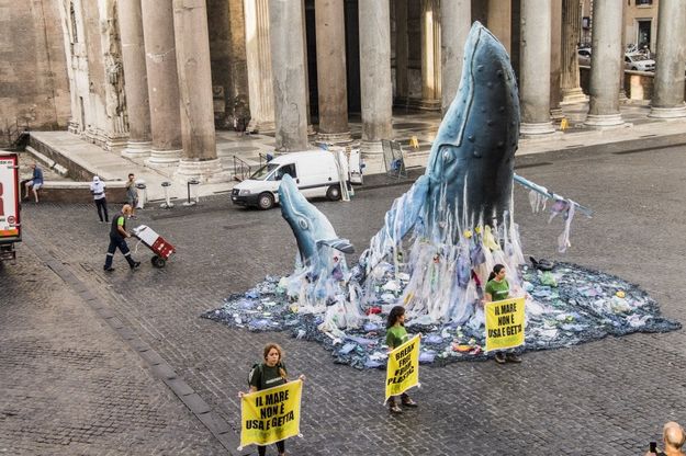 Roma, balene di plastica al Pantheon: l'ultima battaglia di Greenpeace contro l'inquinamento
