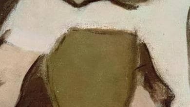'La fiuma', il nuovo romanzo di Dario Franceschini: l'altra storia dalla parte delle donne