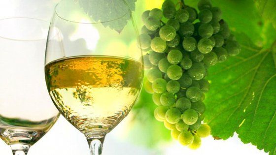 Enogastronomia, quattro lezioni sull'Erice doc