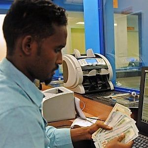 Duecento milioni in tutto il mondo, un tesoro che parte dalla Liguria