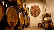 Piglio. Cooperazione tra i vigneti