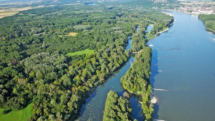Vienna-Bratislava oltre il battello. Tra foresta, steppa e biodiversità, ecco il Parco del Danubio
