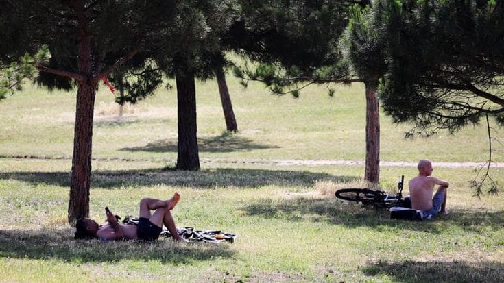 Fa sempre più caldo, ma solo uno su due crede al cambiamento climatico