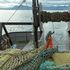 Pesce, petrolio e diritti: la tentazione dell’Alaska è far deragliare Trump